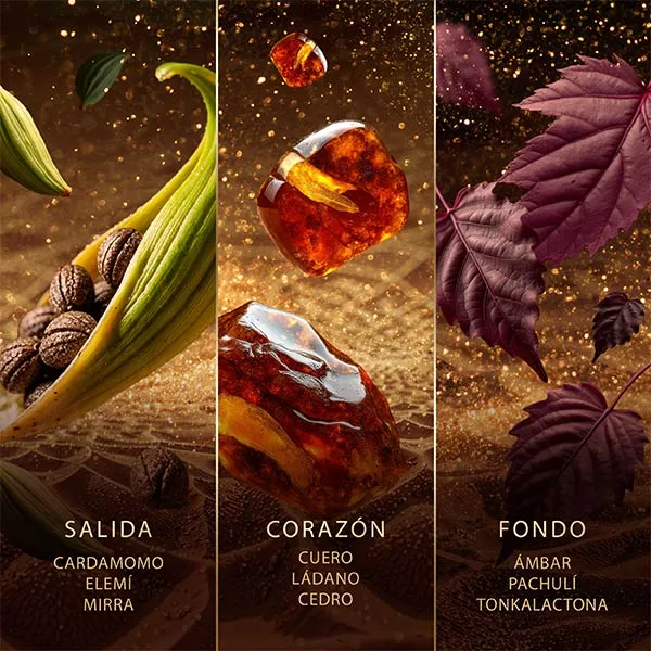 Jawhara Amberwood Nomad Mujer